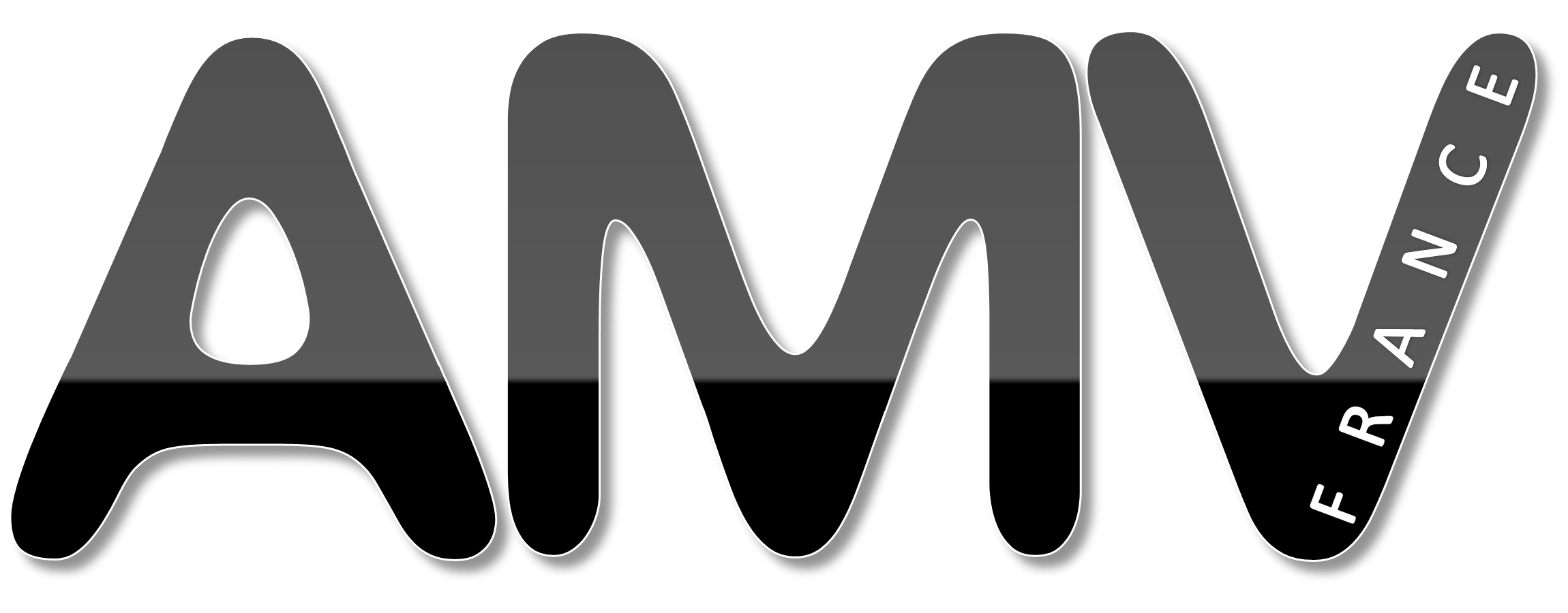 Logo AMV France